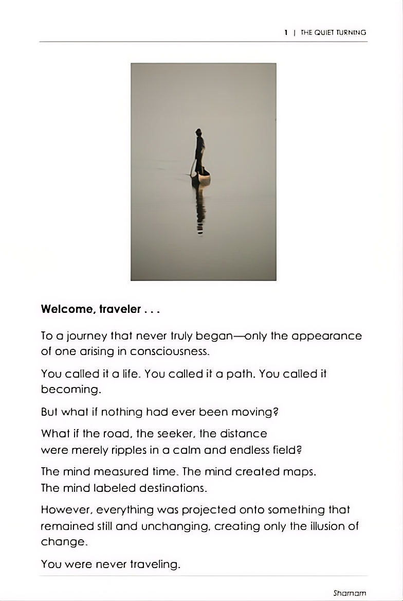 THE QUIET TURNING - Image 4